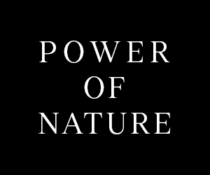 Conoce la nueva colección 2026 de palas de adidas padel