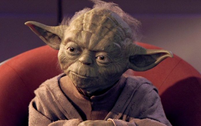 Los gurús del pádel