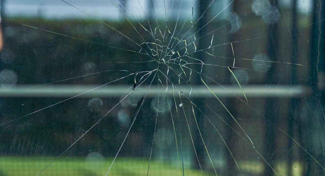 El pádel, en el punto de mira de la Fiscalía de Medio Ambiente por ser un peligro para las aves