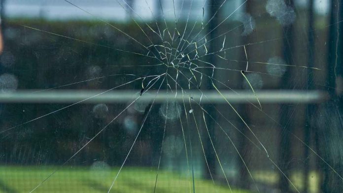 El pádel, en el punto de mira de la Fiscalía de Medio Ambiente por ser un peligro para las aves