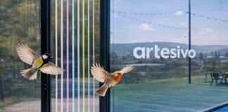 A solution to an invisible problem: how Artesivo’s vinyl decals protect birds on padel courts