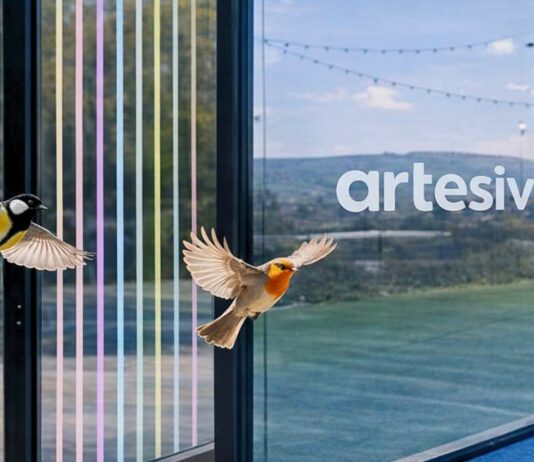 A solution to an invisible problem: how Artesivo’s vinyl decals protect birds on padel courts